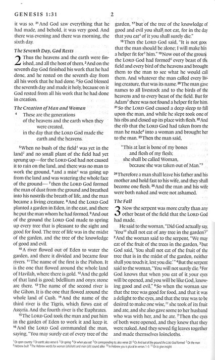 ESV Premium Gift Bible (TruTone, Brown) Imitation Leather