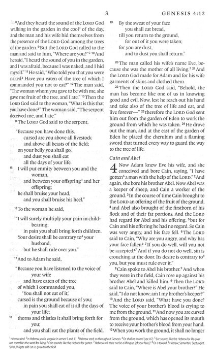 ESV Premium Gift Bible (TruTone, Brown) Imitation Leather