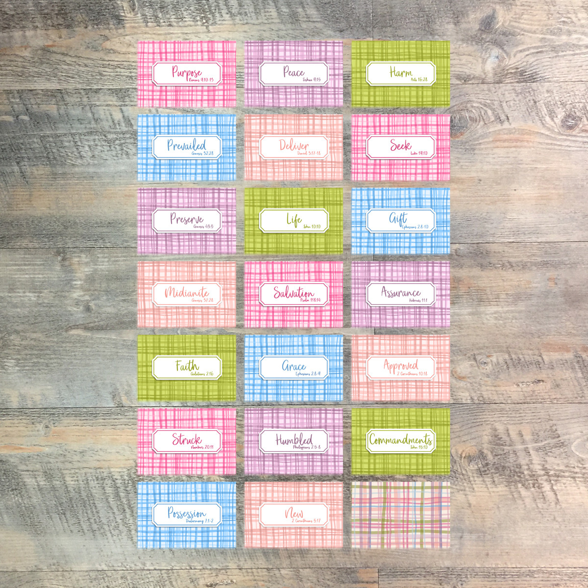 Set 1 Mini Flash Cards forTo Walk In Obedience - 20 2x3 Flash Cards  to Match Kit