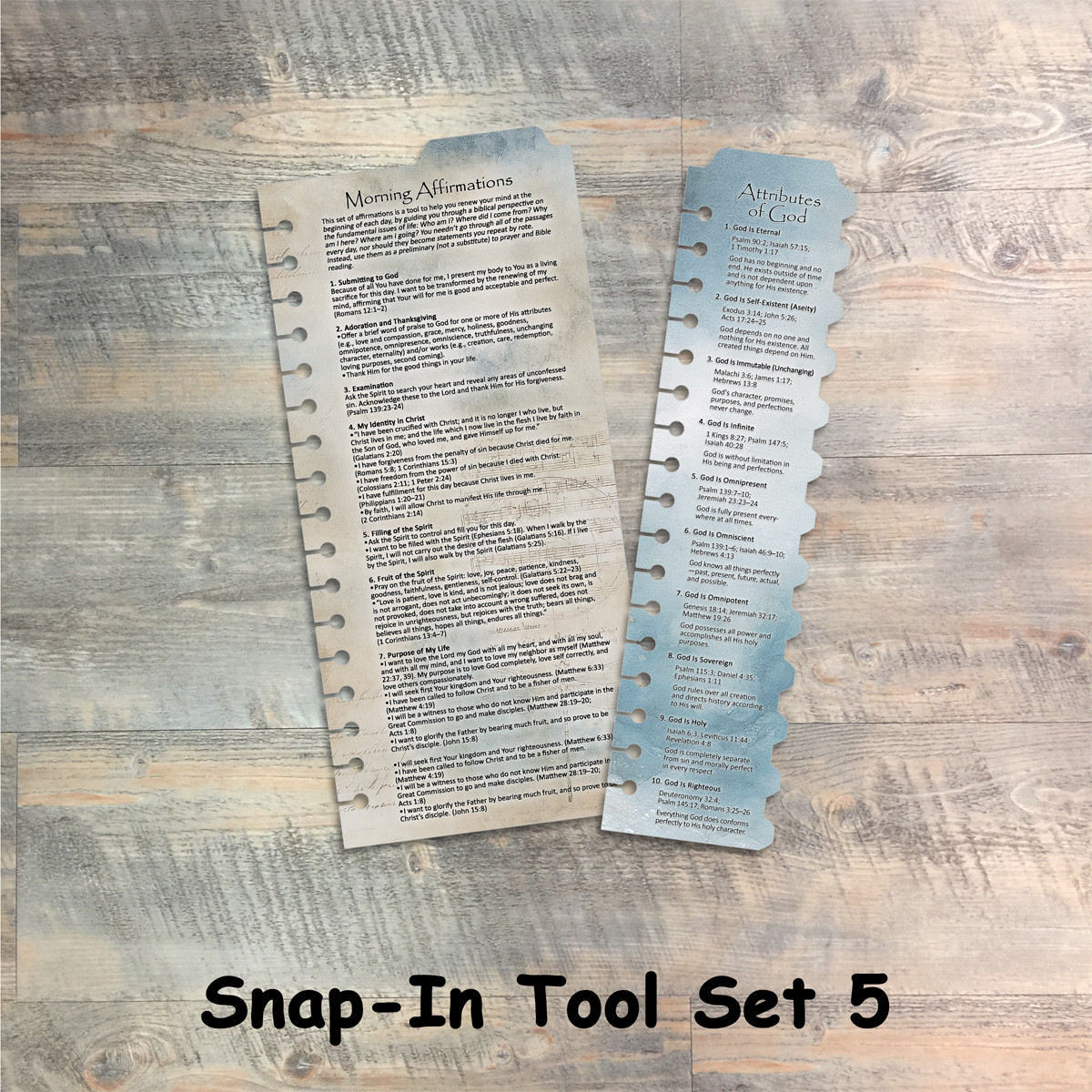 Snap-In Set 5 - The Disciples Journal