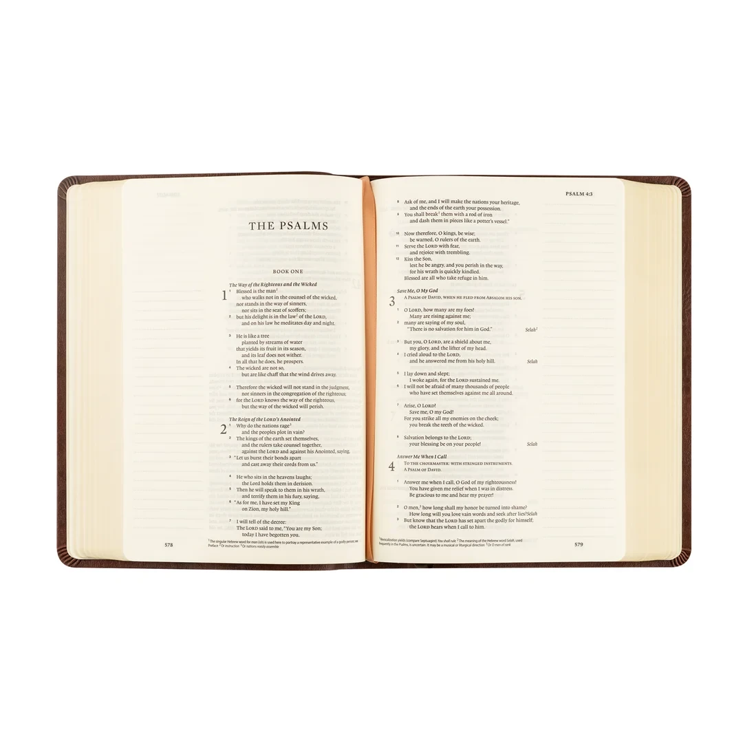 Hosanna Revival Bible - Palma Theme - ESV Journaling Bible