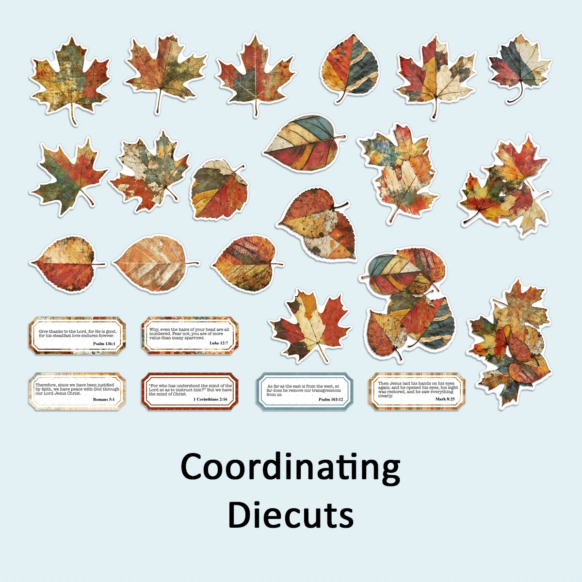 Coordinating Die Cut Set for Enough For Today