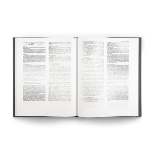 ESV Panorama New Testament - Cloth Over Board - Gray