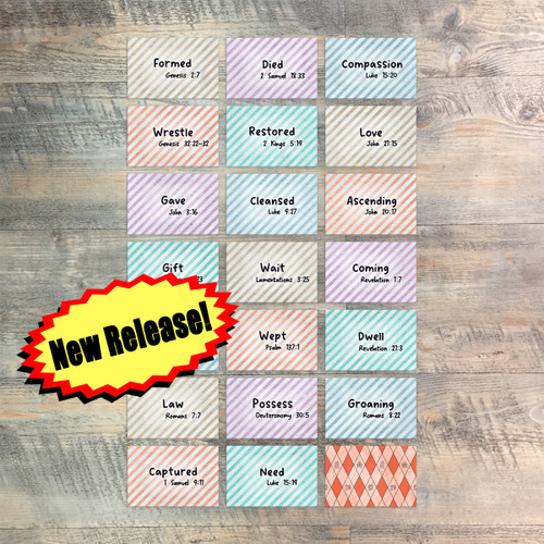 Set 1 Mini Flash Cards forThe Way Back Home - 20 2x3 Flash Cards  to Match Kit