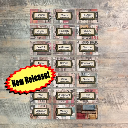 Set 2 Mini Flash Cards forThe Seven Deadly Sins - 20 2x3 Flash Cards  to Match Kit