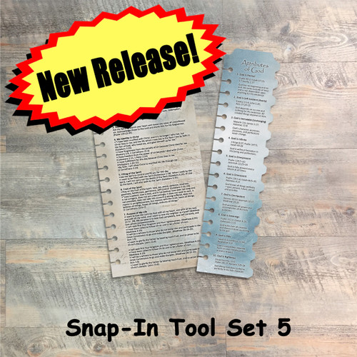 Snap-In Set 5 - The Disciples Journal