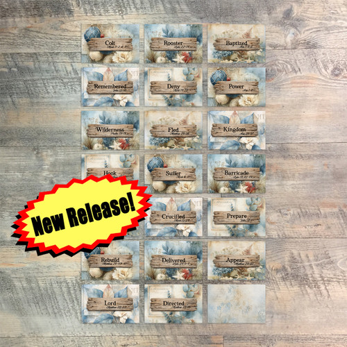 Set 2 Mini Flash Cards forAs He Said - 20 2x3 Flash Cards  to Match Kit