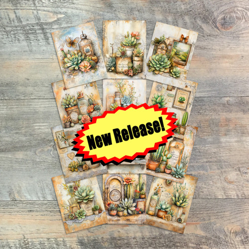 Rustic Succulents Journaling Cards - Knowing Jesus- 12 Unique-3x4 Journaling Cards