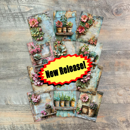 Bold Succulents Journaling Cards - Knowing Jesus- 12 Unique-3x4 Journaling Cards