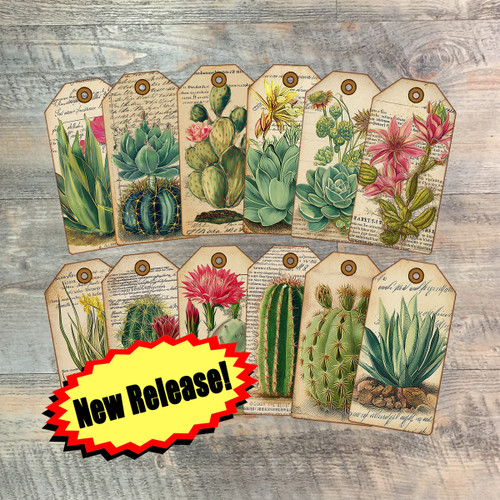 Desert Botanical Die Cut Tags for Knowing Jesus