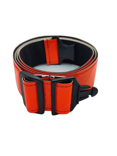  VETGOODS HEAVY DUTY REFLECTIVE BELT (BLUE) : Sports