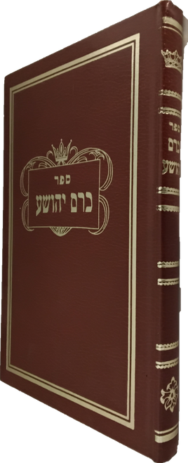 כרם יהושע #48