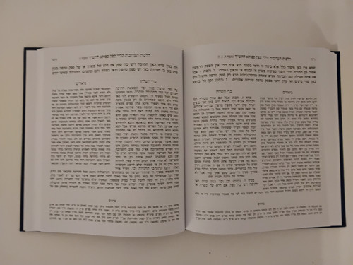 בדי השלחן - הלכות תערובות - ב חלקים - ב"כ #2980