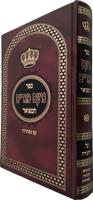 נועם מגדים #2