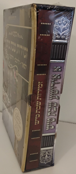 זמירות שבת טיש - א אידישע שבת טיש #14