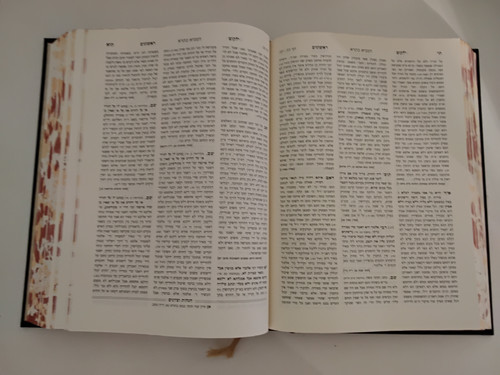 קובץ מפרשים המפואר - גיטין פרקים א-ב - עוז והדר #20