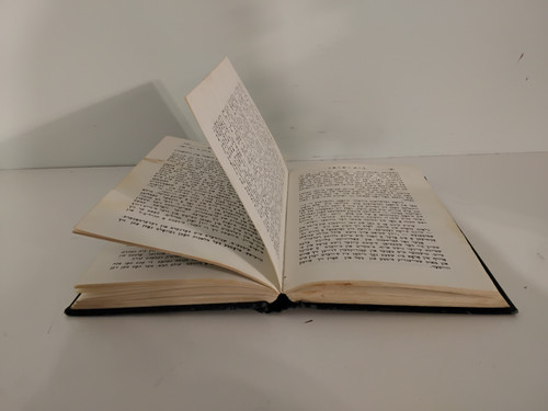 בית ישראל - וויזשניצער רבי'ת הויף - און דאס לעבען אין מאראמורעש - וויזניץ - אידיש #40