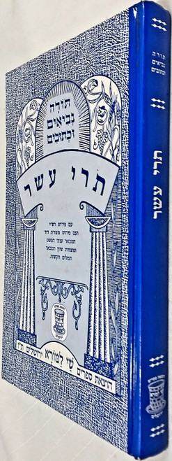 נ"ך תרי עשר - הוצאת שי למורא