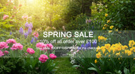 Spring Sale Alert: Get 10% Off Your Go Inks Order!