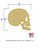 Small Skull Profile Wooden Cutout with Dimensions