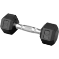 Rubber Hex Dumbbells