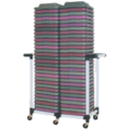 Step Storage Carts