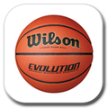 Wilson Basketball