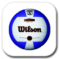 Wilson Volleyball