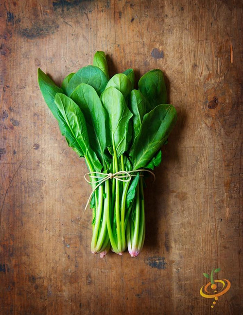 Bloomsdale Spinach Seeds