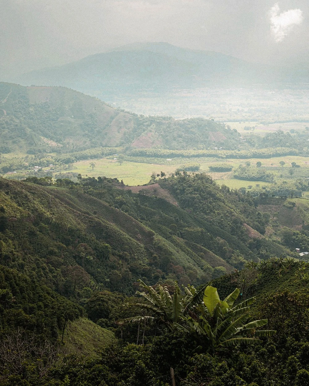 2026 Single Origin Rotation 9