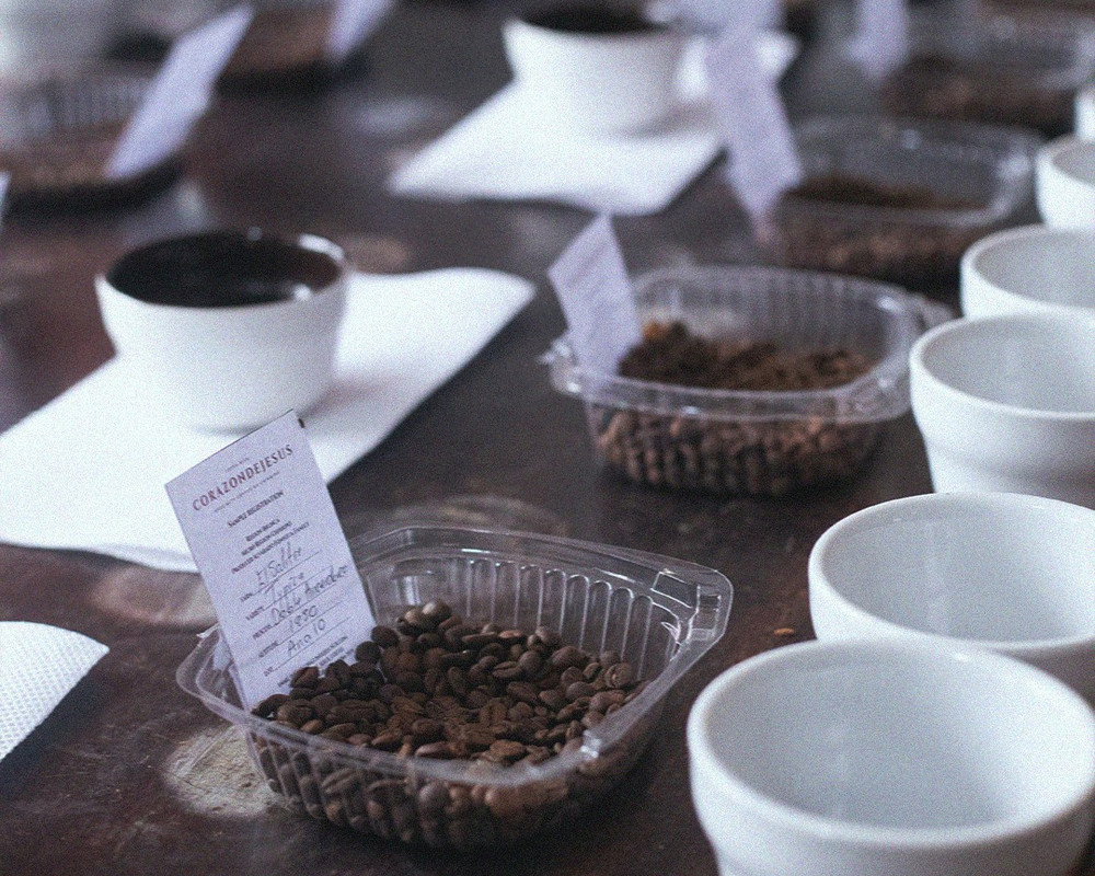 2026 Single Origin Rotation 6