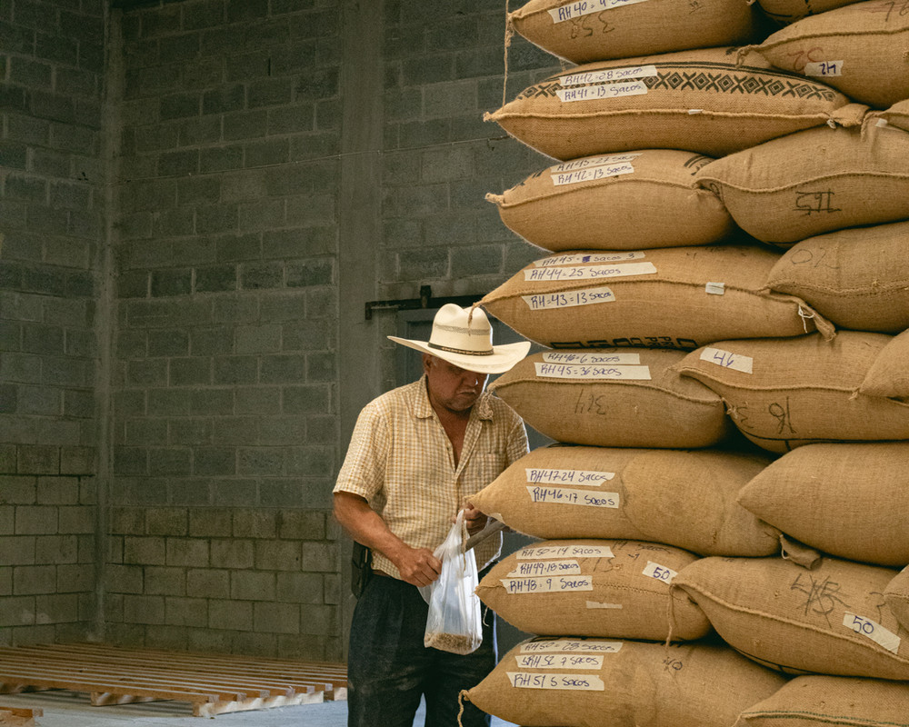 2026 Single Origin Rotation 1