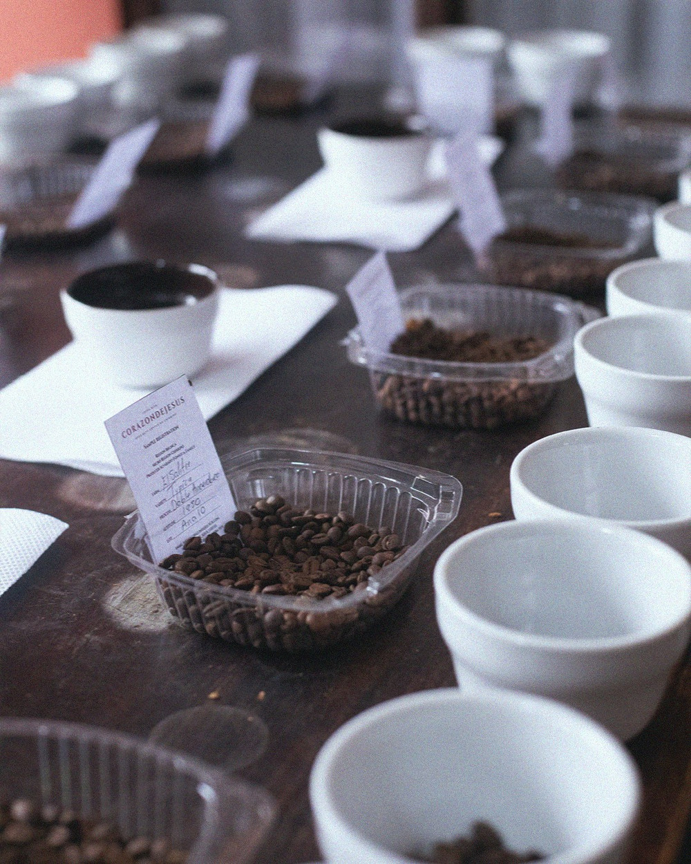 2026 Single Origin Rotation 6