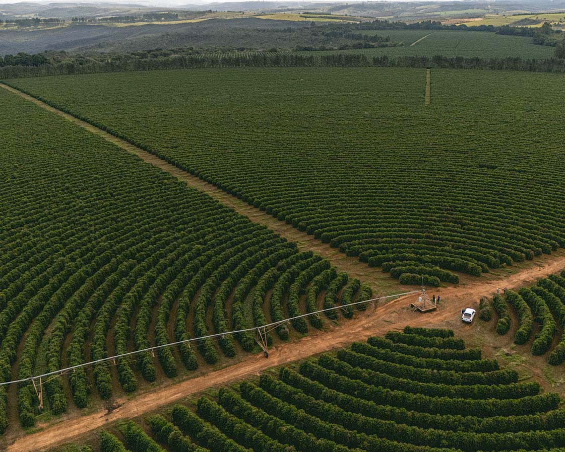 Specialty Coffee Roaster | Toby’s Estate