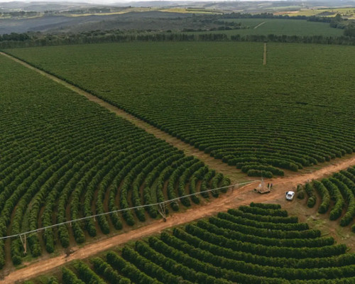 September 2025 Single Origin Rotation