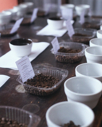 2026 Single Origin Rotation 6