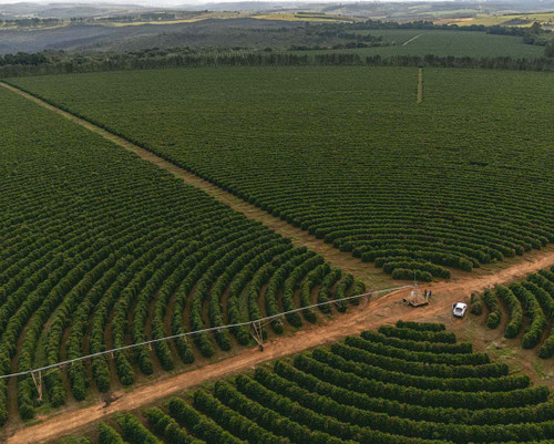September 2025 Single Origin Rotation