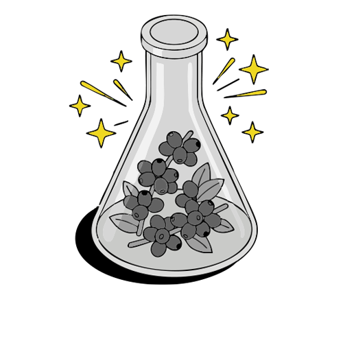 Wholesale Coffee Distribution