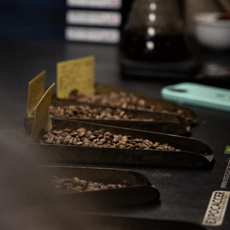 The Daterra plot seen at farm level