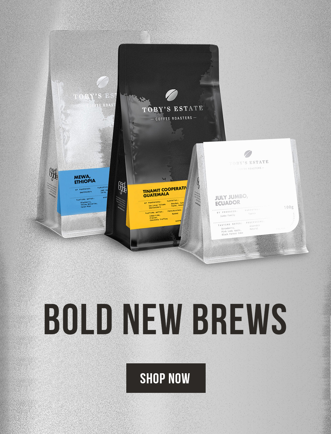 Bold New Brews - Mobile Banner
