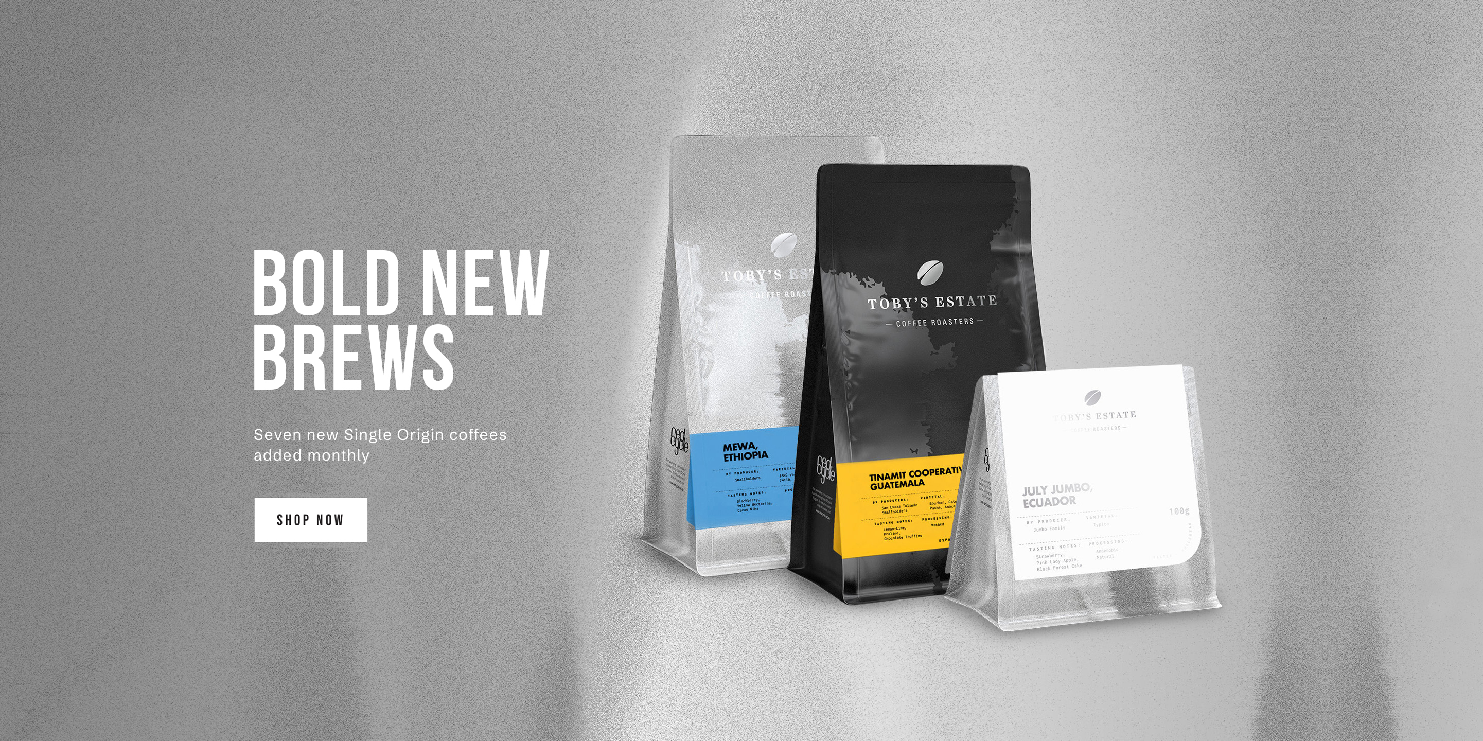Bold New Brews - Desktop Banner