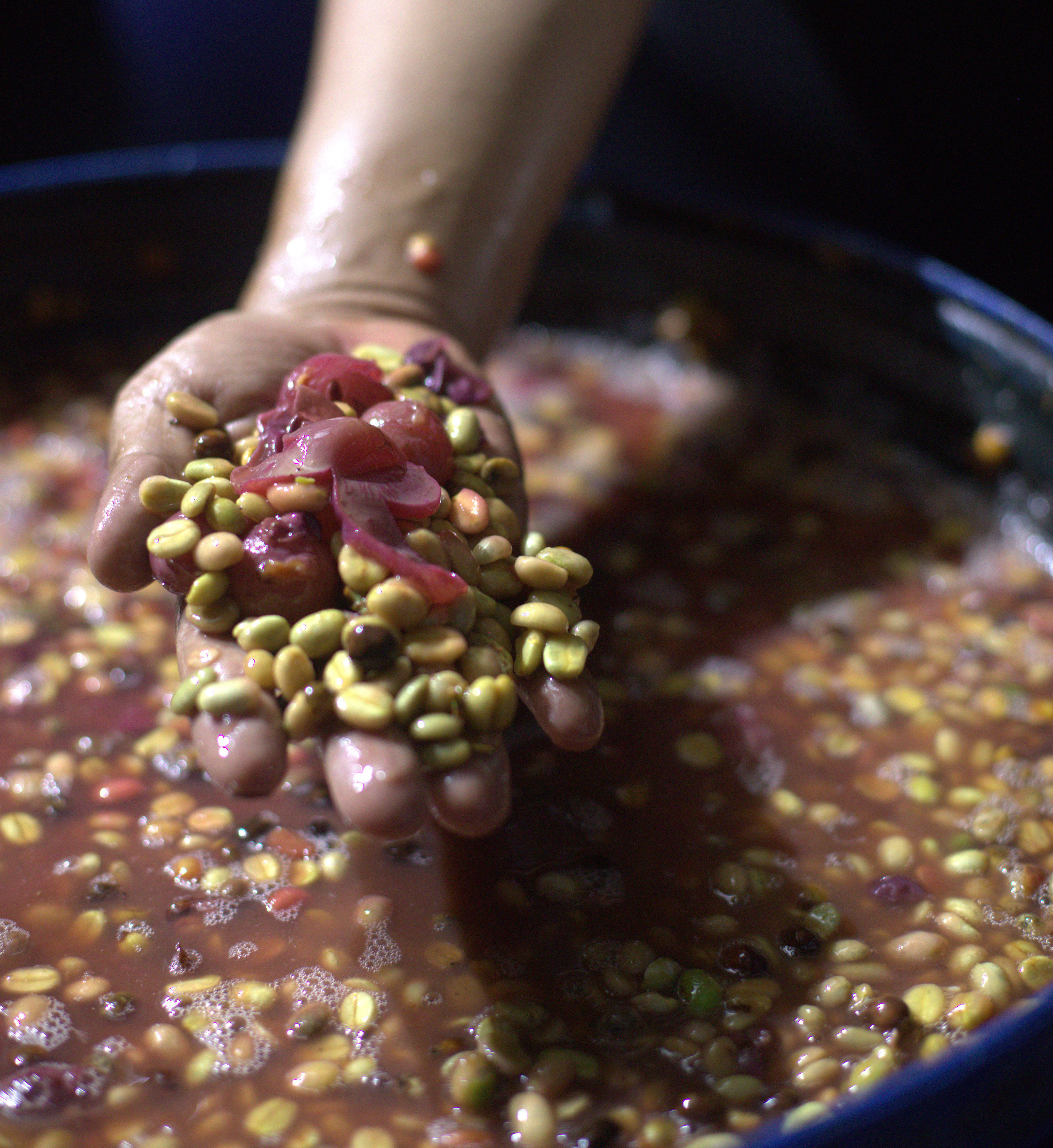 Coffee Shop Products