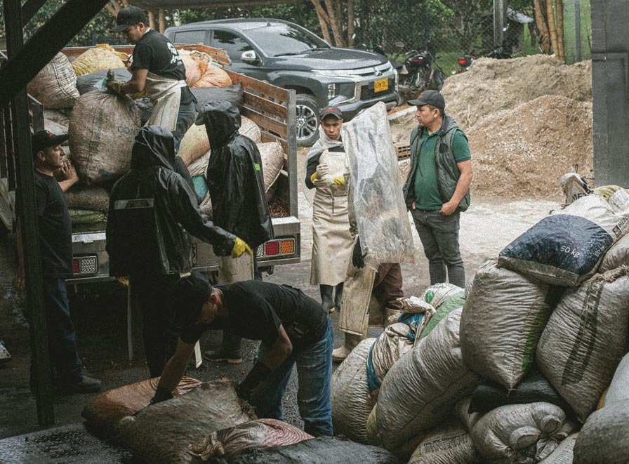 Rodrigo Image Placeholder