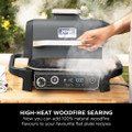 XSKGRIDPLTEUK Ninja Woodfire Electric BBQ Flat Plate