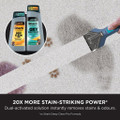 PX200UKT Shark StainStriker Pet Stain & Spot Cleaner
