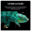 OLED55B46LA- 2024 LG B46LA 55" 4K OLED Smart TV