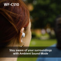 Sony WFC510L.CE7 Wireless In ear headphones - Blue