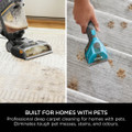 Shark EX300UK CarpetXpert Carpet Cleaner with Built-In Stain Striker - Charcoal & Fuchsia