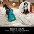 Shark EX300UK CarpetXpert Carpet Cleaner with Built-In Stain Striker - Charcoal & Fuchsia