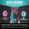 Shark  PX250UKT StainStriker HairPro Pet Stain & Spot Cleaner - Dark Silver & Force Fuchsia